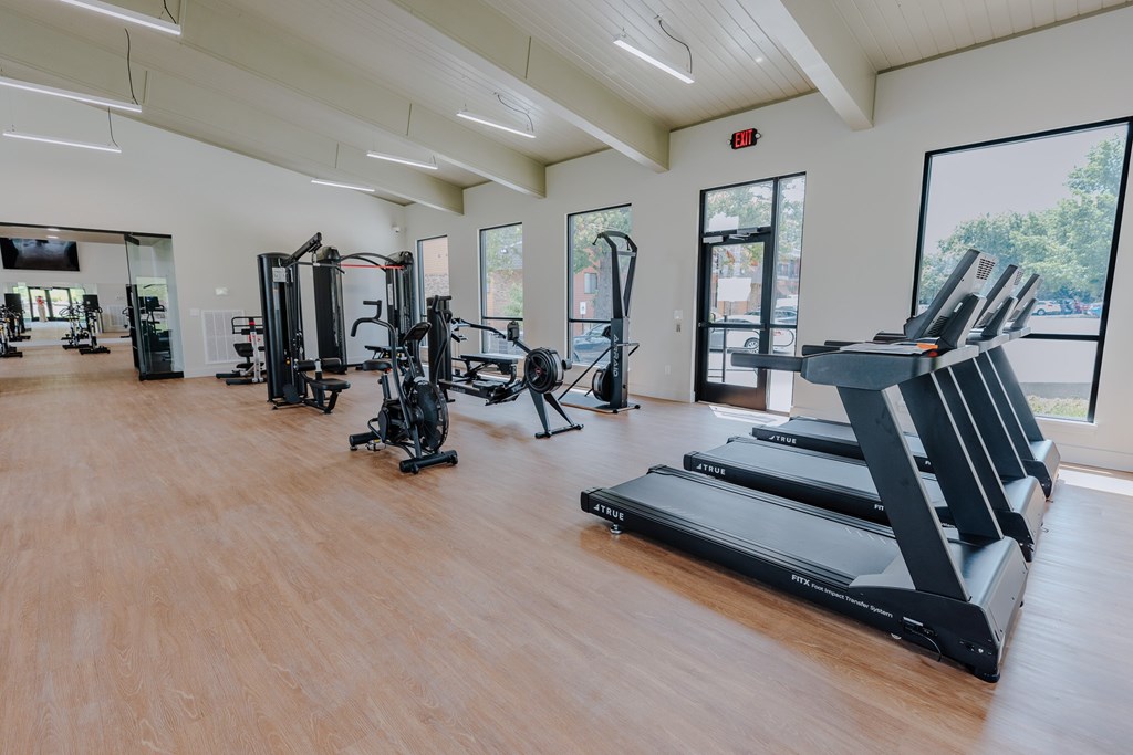 A gym with treadmills, weights and exercise machines.