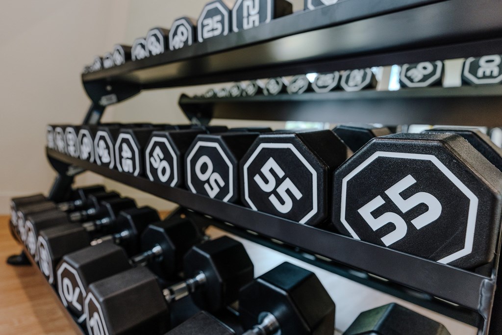 A set of dumbbells with weights ranging from 5 to 55 pounds.