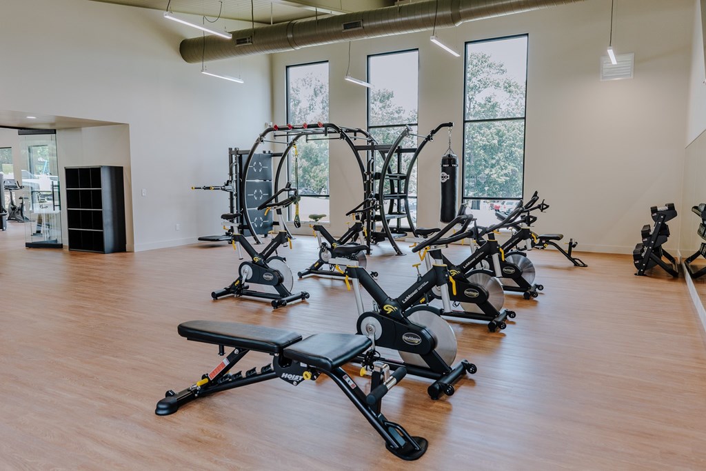A gym with a row of exercise bikes and a bench.