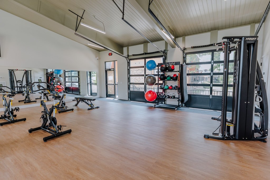 A gym with a row of stationary bikes and a row of treadmills.