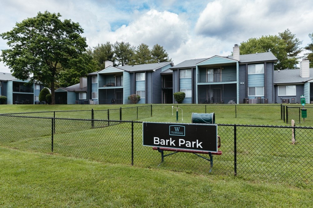 the park at bark park with apartment buildings in the background