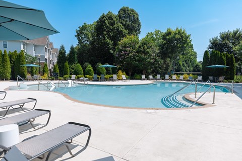 A swimming pool surrounded by trees and lounge chairs.