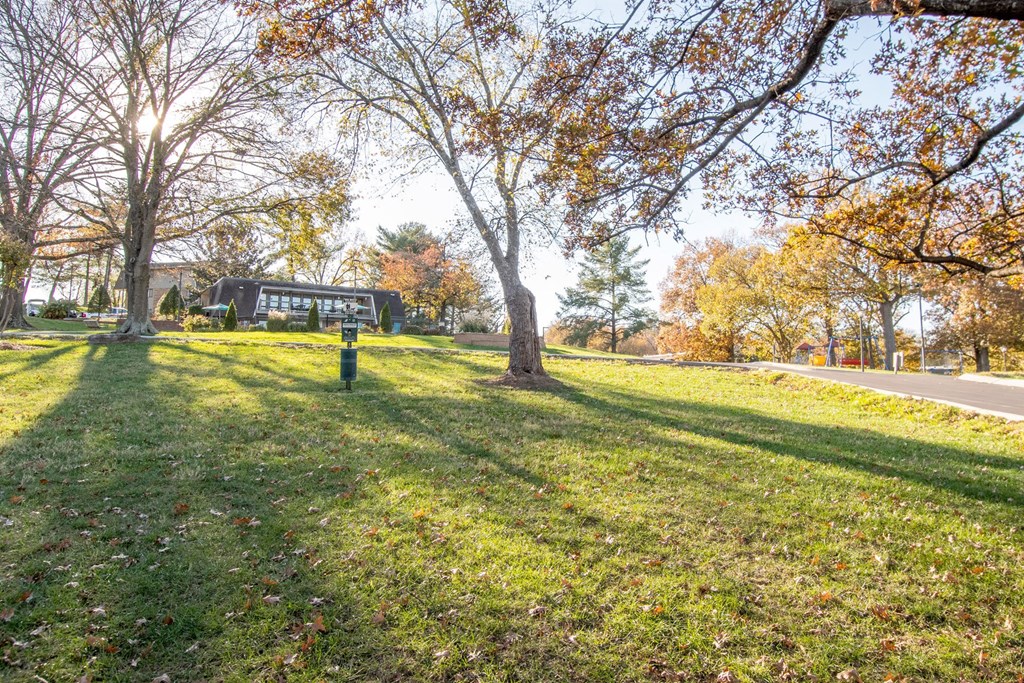 Lush Green Outdoors at Nob Hill Apartments, Nashville, 37211