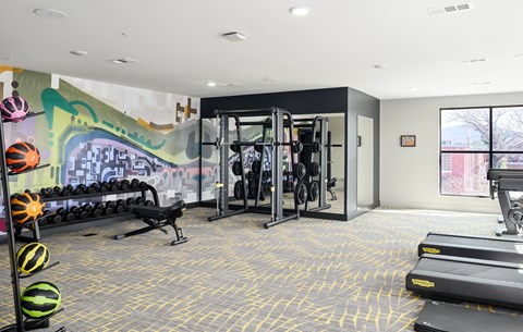 A gym with a row of dumbbells on the left and a row of treadmills on the right.
