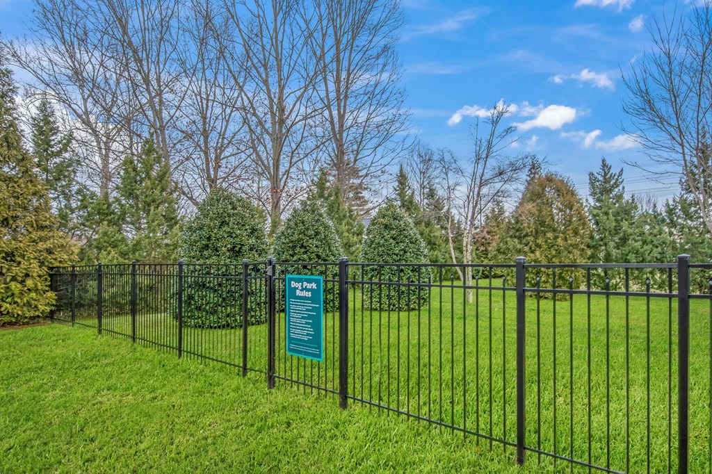 a wrought iron fence with green grass and trees behind it