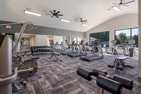 a large fitness room with cardio equipment and windows