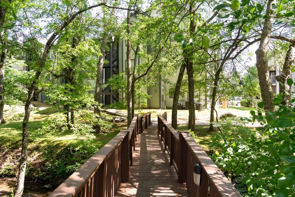 A wooden bridge in a lush green forest.
