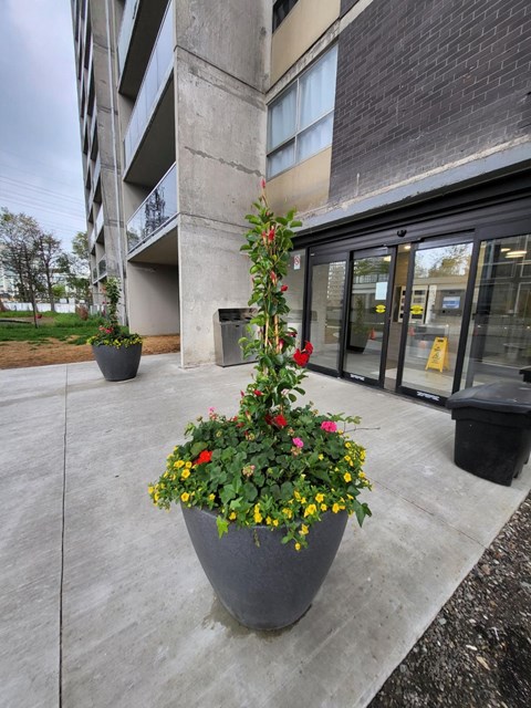 A grey planter with red and yellow flowers sits in front of a building.