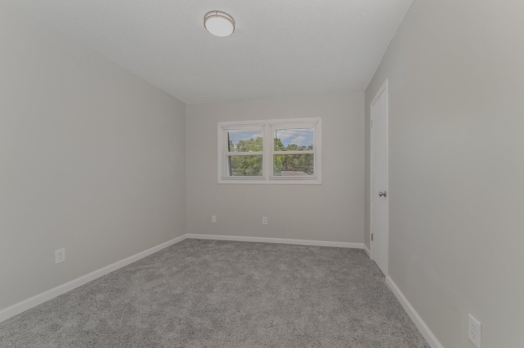 a bedroom with gray walls and carpet