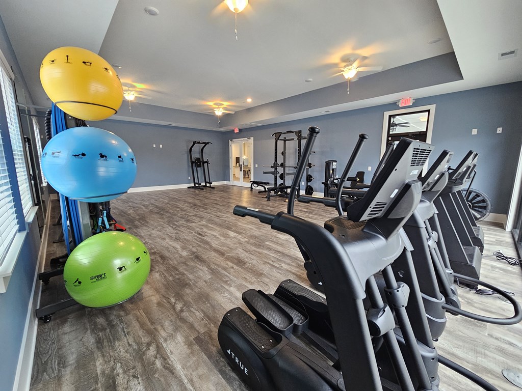 A gym with treadmills, exercise balls, and a mirror.
