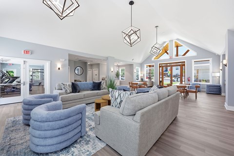 A spacious living room with a grey sofa and a grey rug.