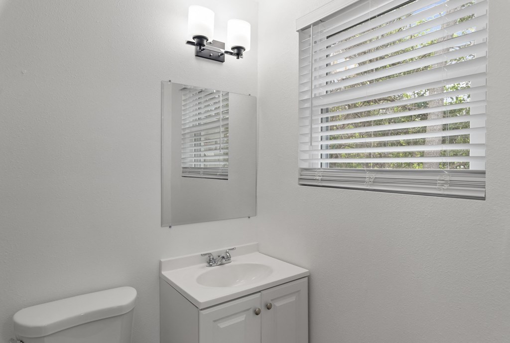 a bathroom with a sink and a mirror and a window