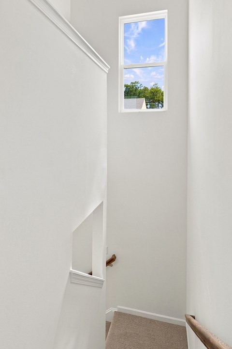 A small window with a view of trees and sky.