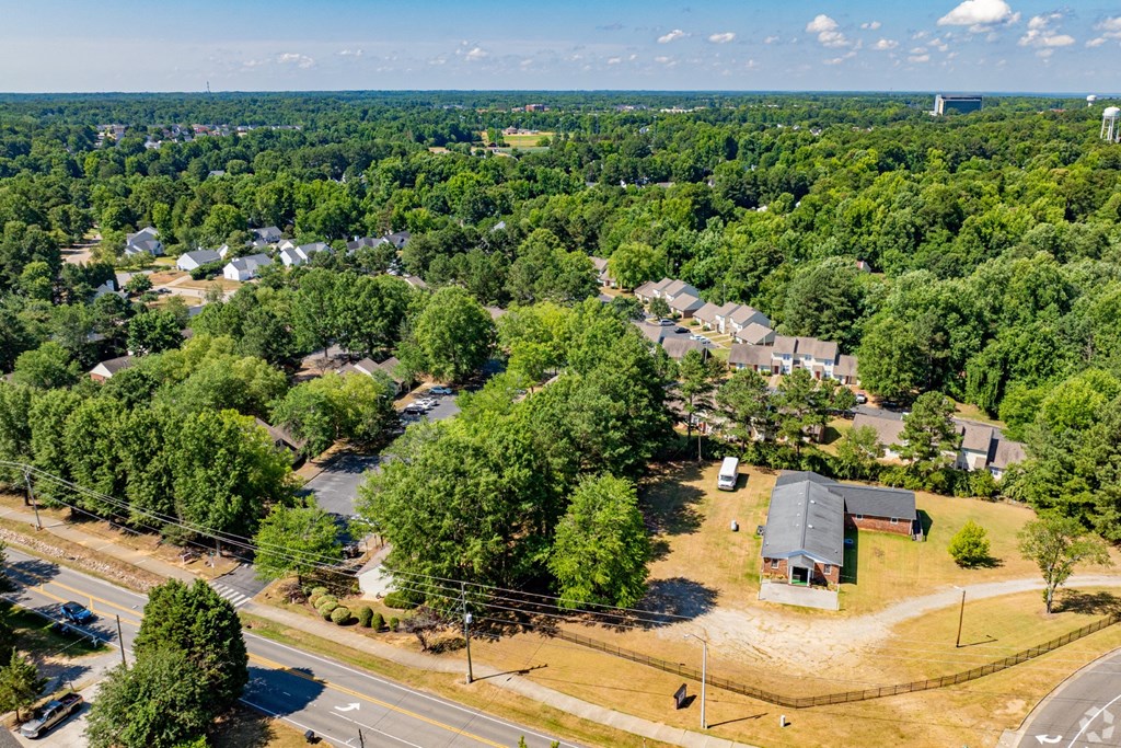 A bird's eye view of a residential area with houses surrounded by trees.