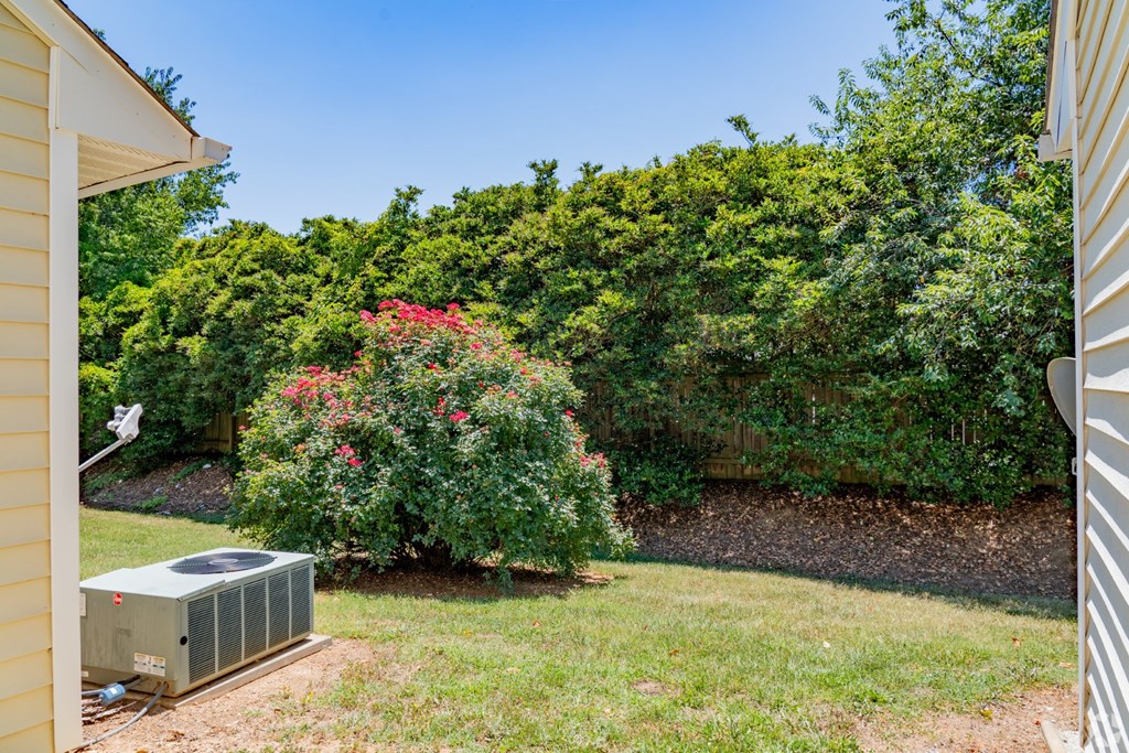 A bush with red flowers is in the middle of a yard.