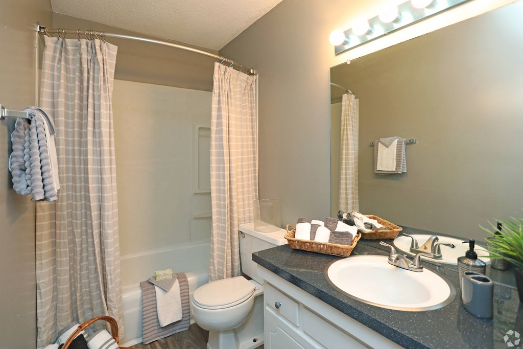 a bathroom with a sink and a toilet and a shower