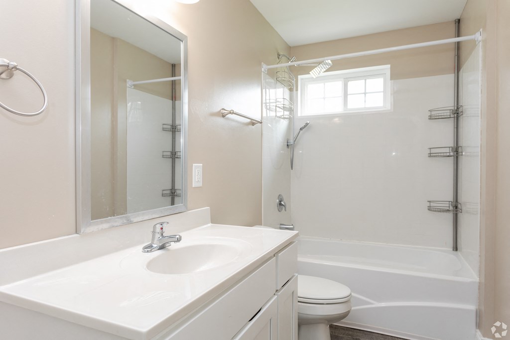 a bathroom with a sink and a shower and a toilet