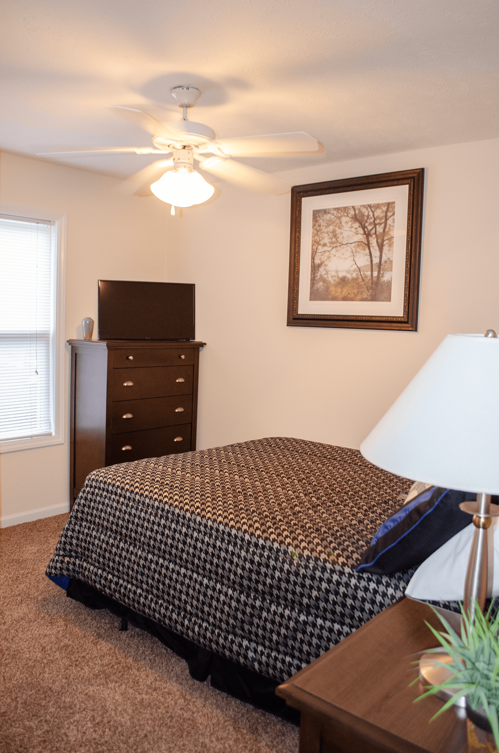 a bedroom with a bed and a dresser and a ceiling fan