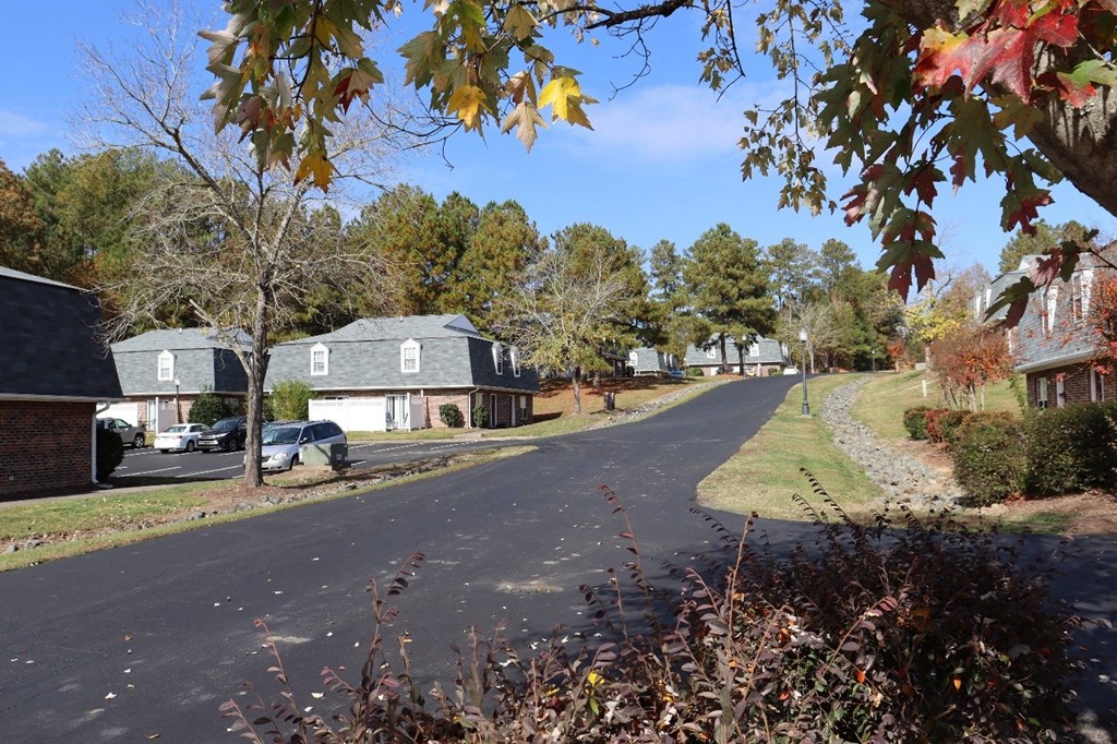 a street in a neighborhood with houses and trees