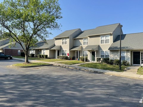A tree is in front of a building.