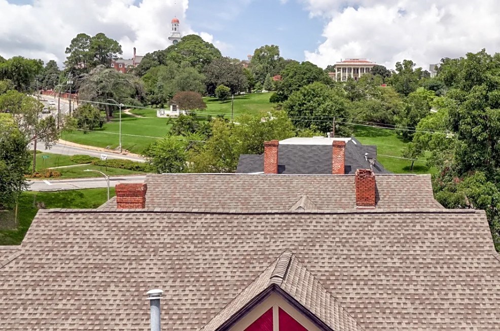 the roof of a house with a park in the background