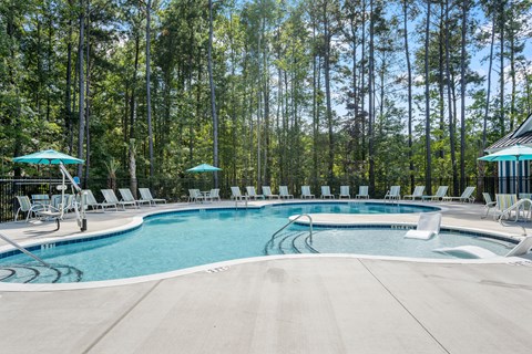 A large outdoor swimming pool surrounded by trees.