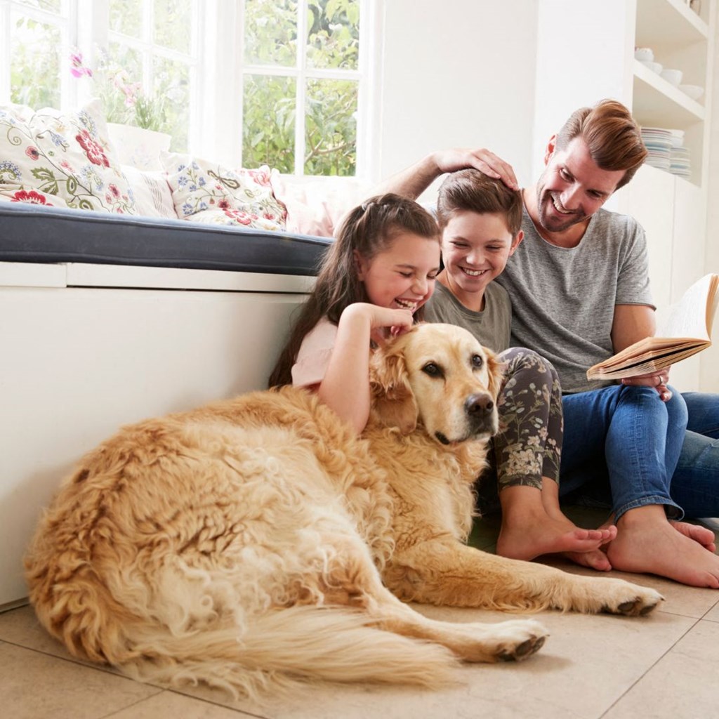 a family sitting on the floor with a dog