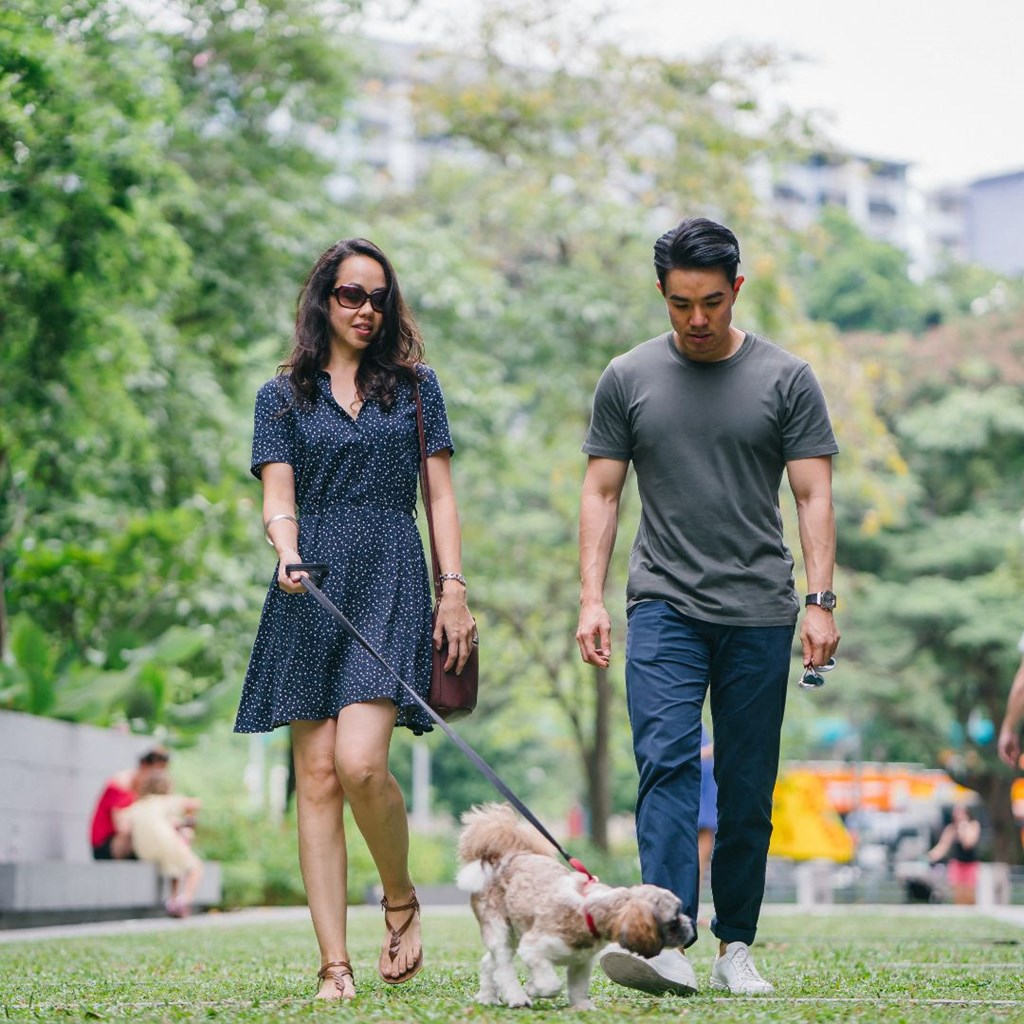 a man and a woman walking their dog