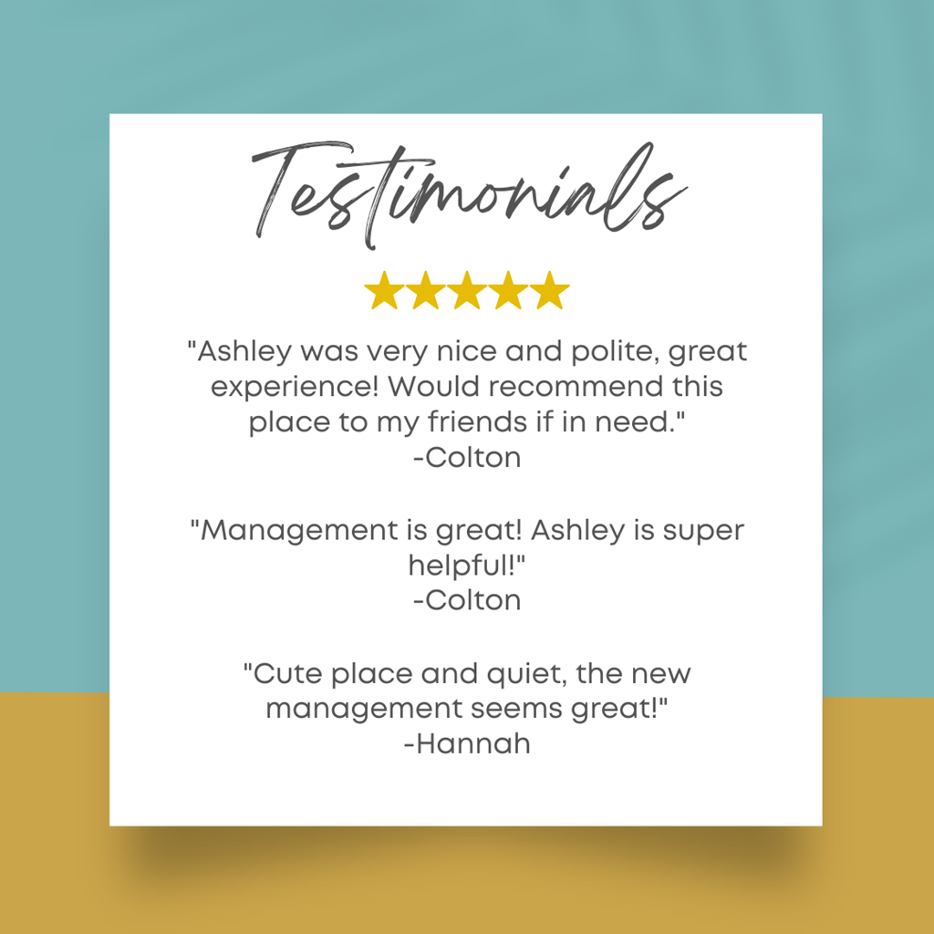 a close up of a testaments poster