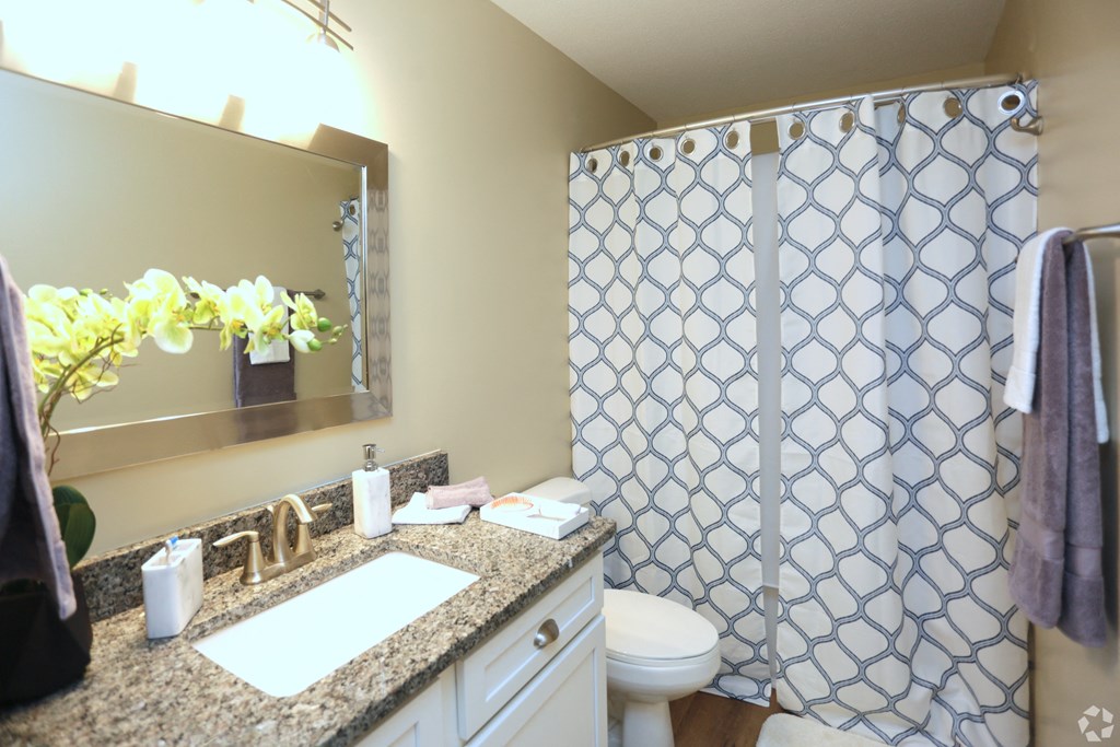 a bathroom with a shower and a sink and a mirror