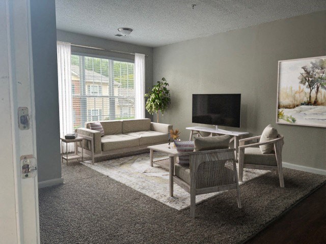 a living room with couches and chairs and a television