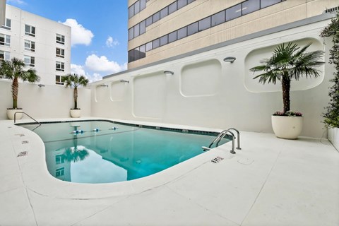 Indoor Pool View at The Palms on Main, Columbia South Carolina