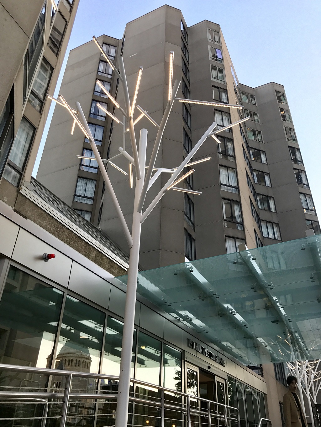 The Greenhouse Tree Lights