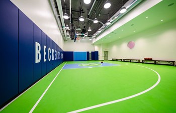 Multipurpose Sports Court - Photo Gallery 4