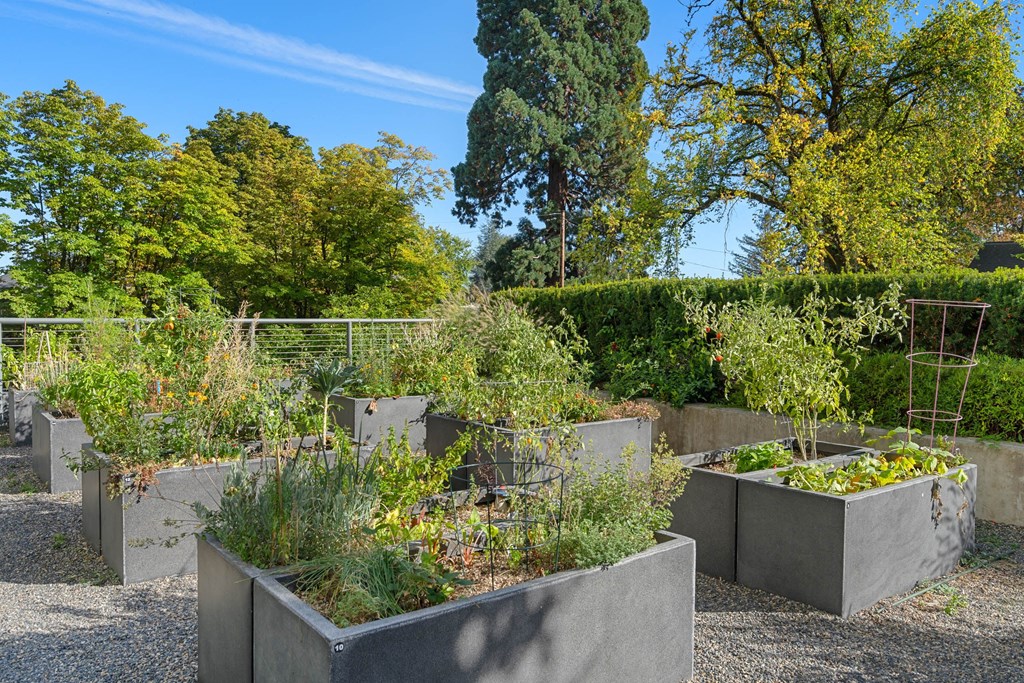Garden Area at Vista St. Clair, Portland, Oregon