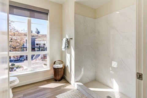 a bathroom with a shower and a window
