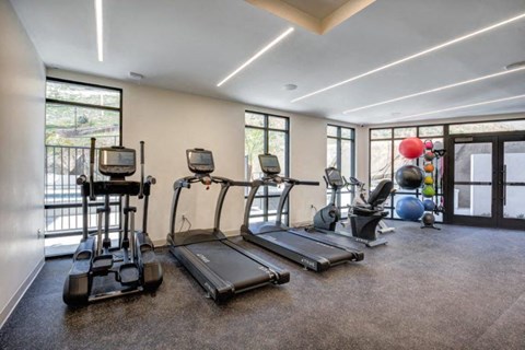 the gym is equipped with cardio equipment and yoga balls