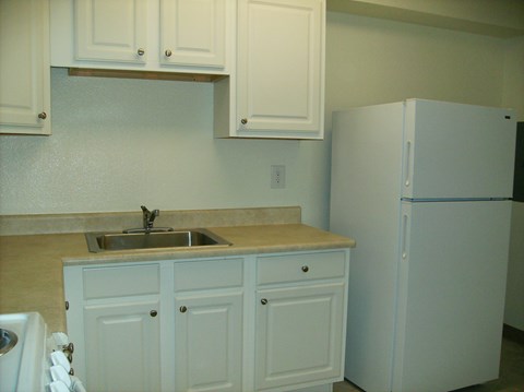 A kitchen with a sink and a refrigerator.