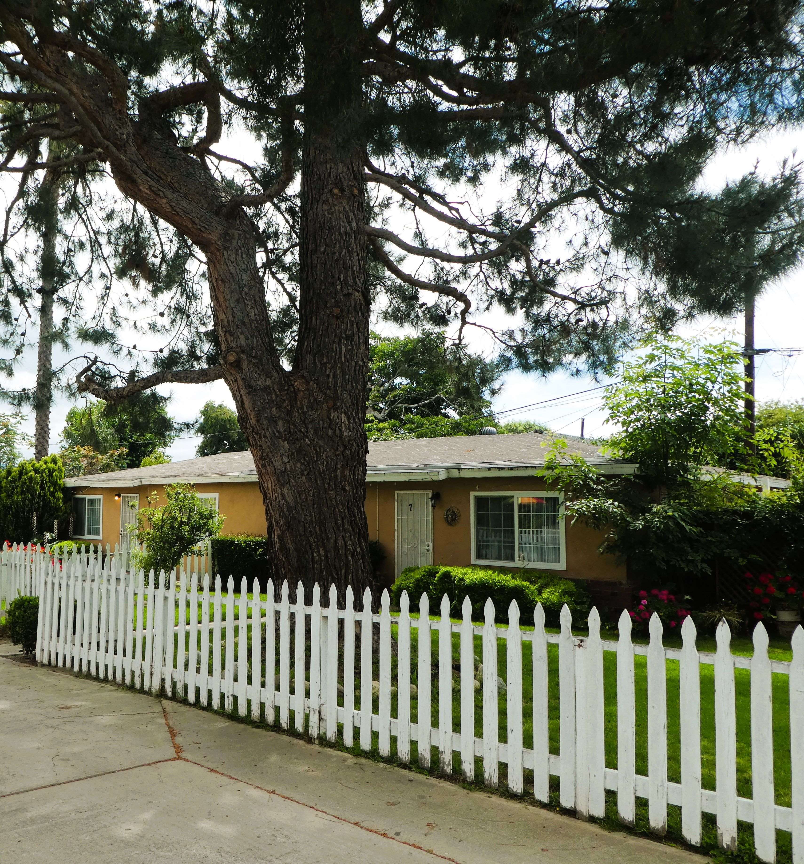 Adam Road exterior front 2