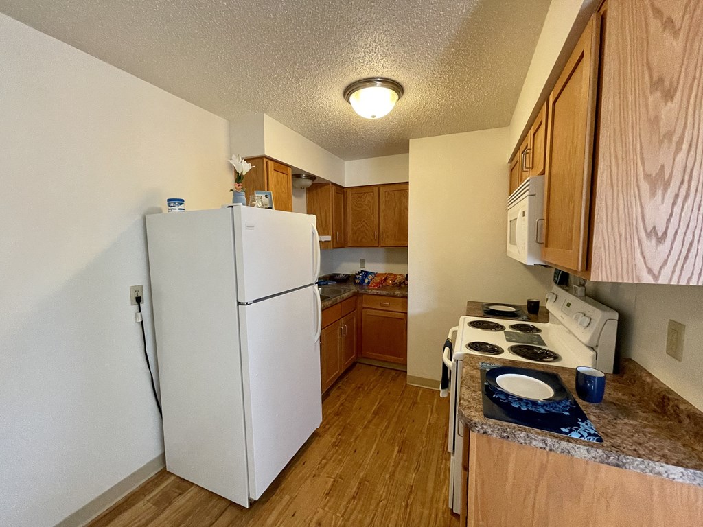 a kitchen with a refrigerator and a stove and cabinets