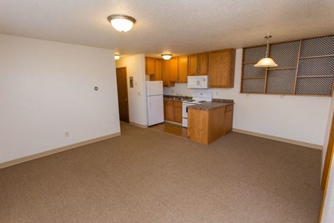 an empty kitchen with a stove and a refrigerator
