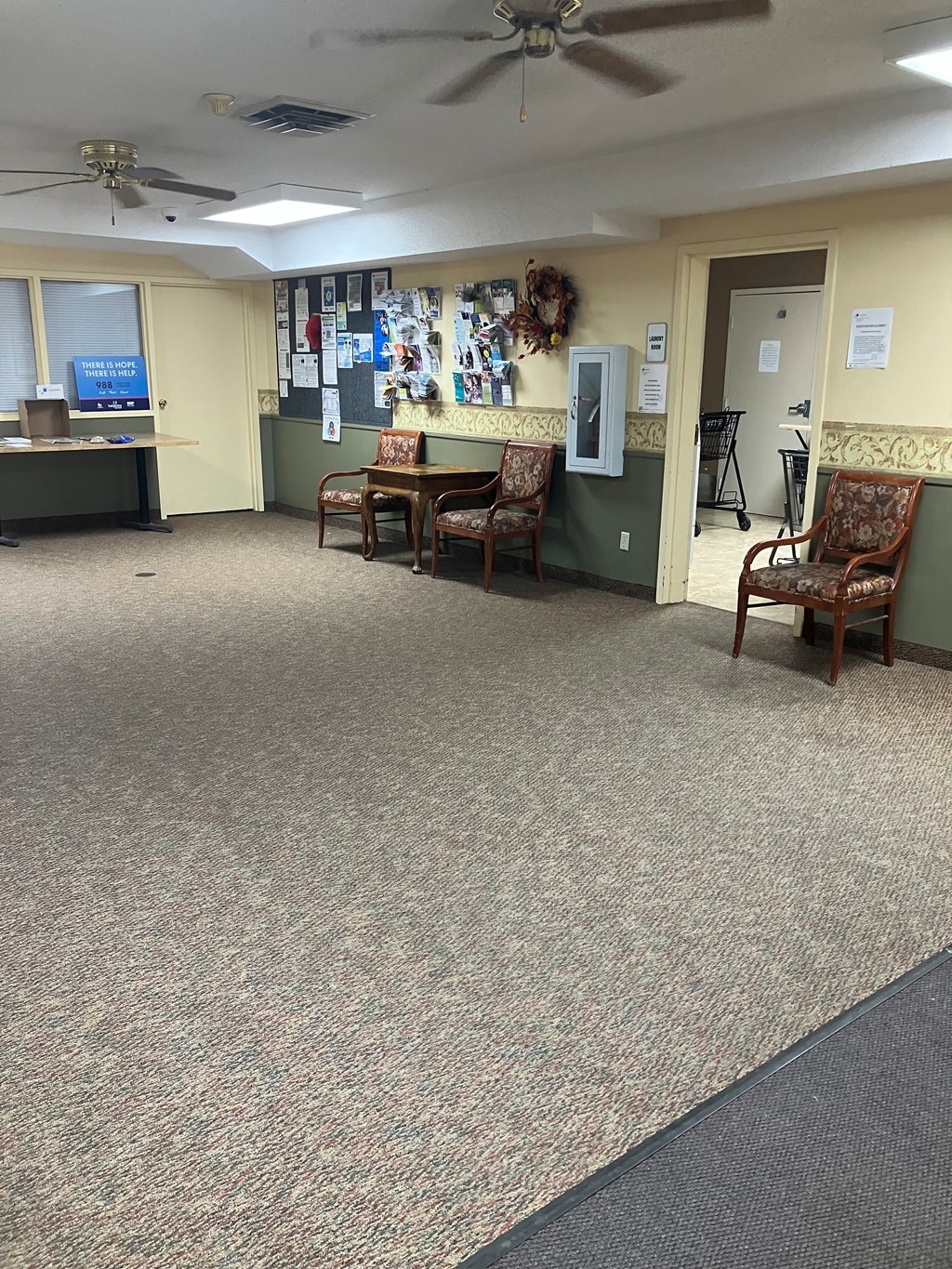 A room with a carpeted floor and two chairs.
