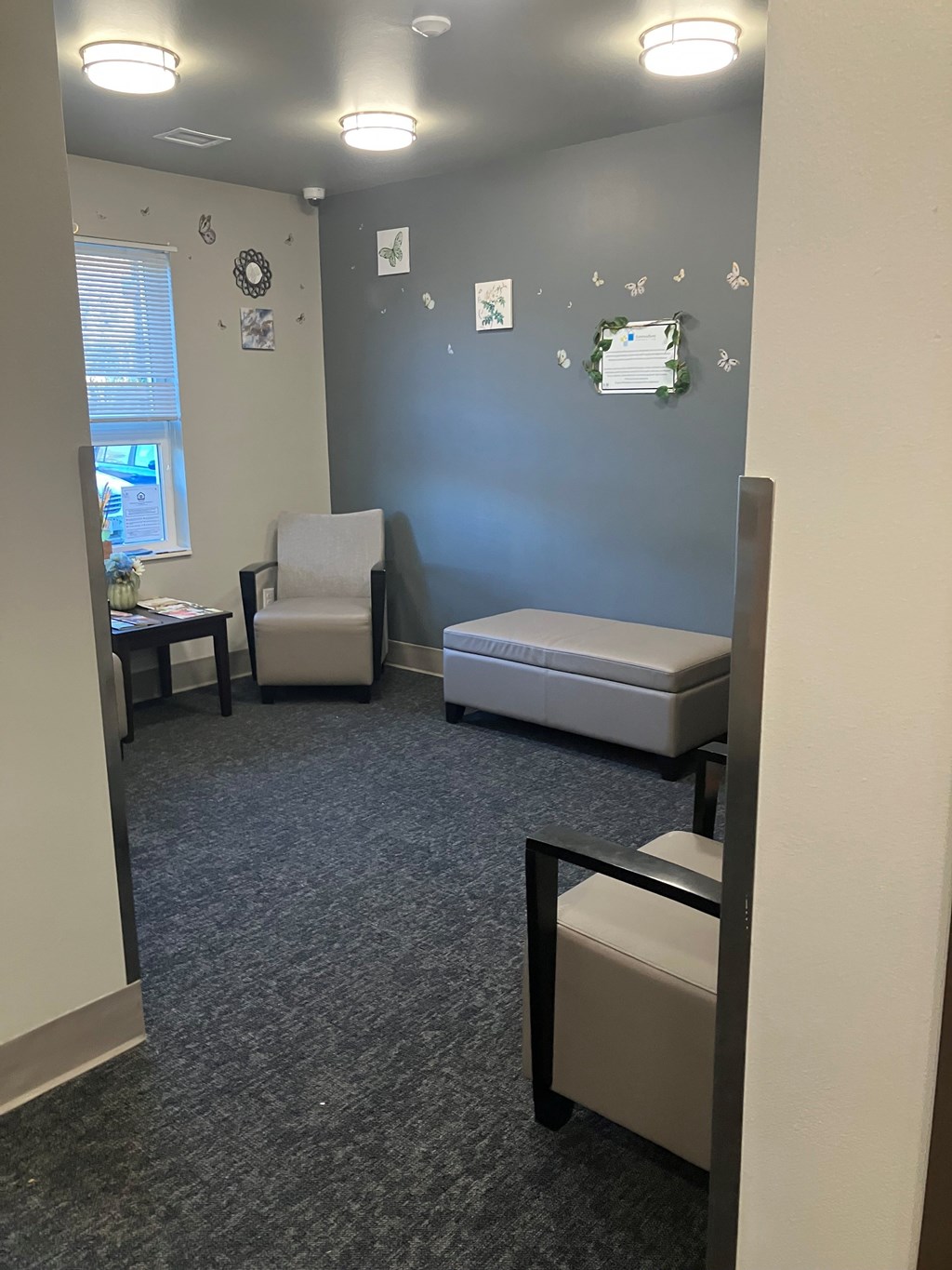 A grey room with a grey couch and a grey chair.