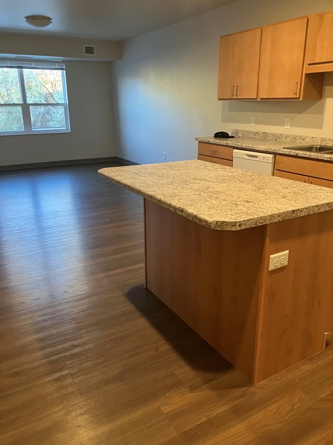 A kitchen with wooden cabinets and a granite countertop.