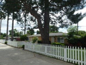 a small house with a white picket fence and a tree