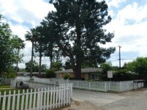 a house with a white fence and a large tree