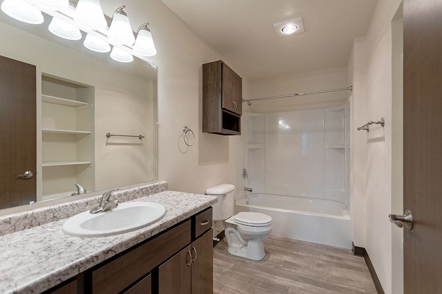 A bathroom with a marble countertop and a walk-in shower.