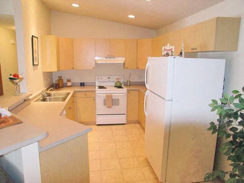 a kitchen with a stove and a refrigerator