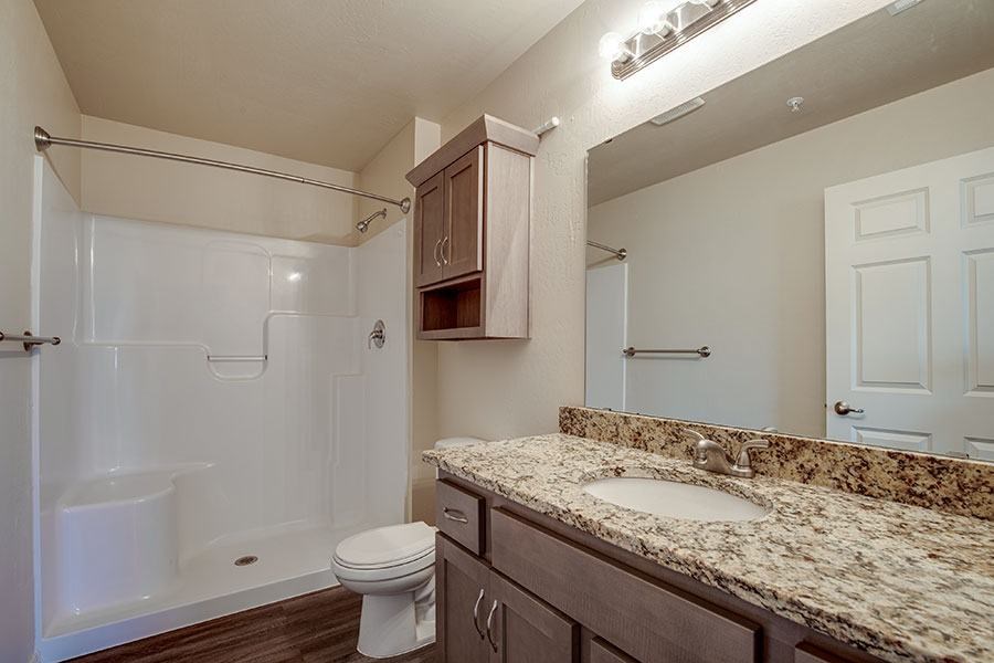 A bathroom with a white toilet, a marble countertop, and a walk-in shower.