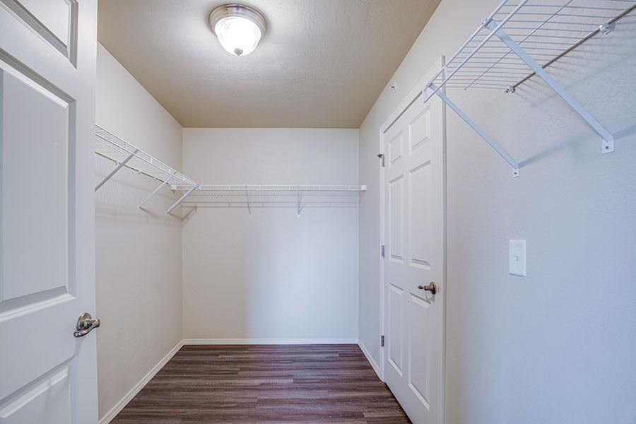 A white closet with a brown carpet and a white door.